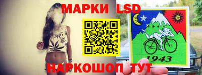 стаф Будённовск