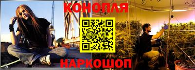 стаф Будённовск