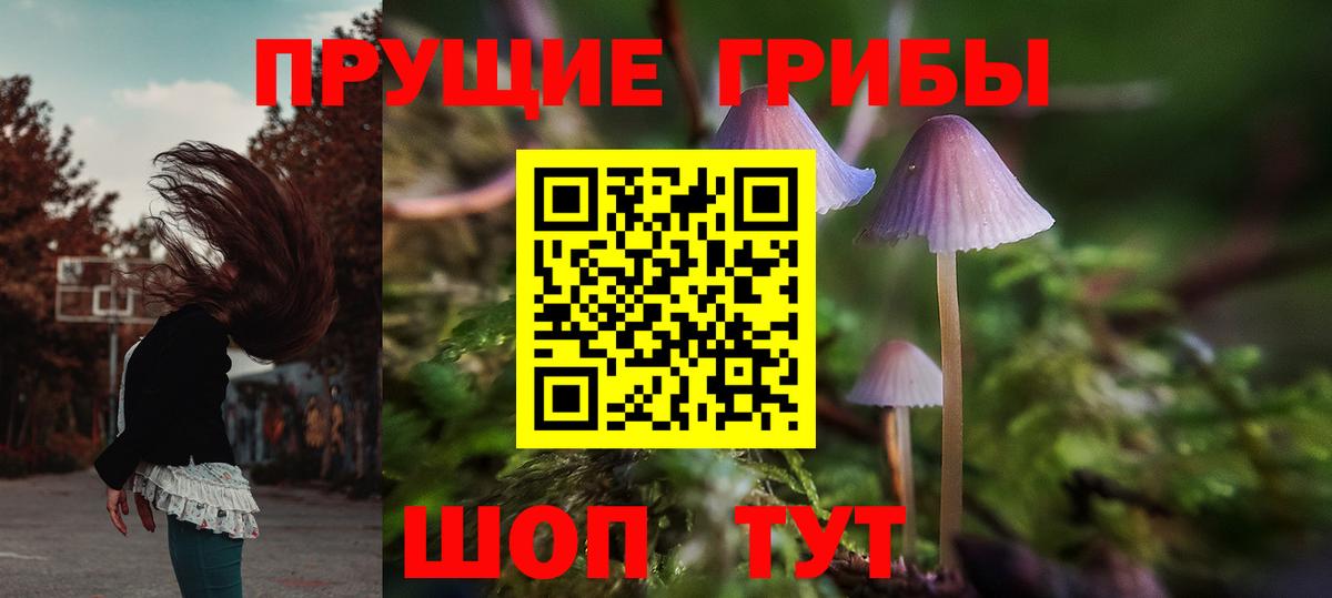 Галлюциногенные грибы MAGIC MUSHROOMS Красногорск