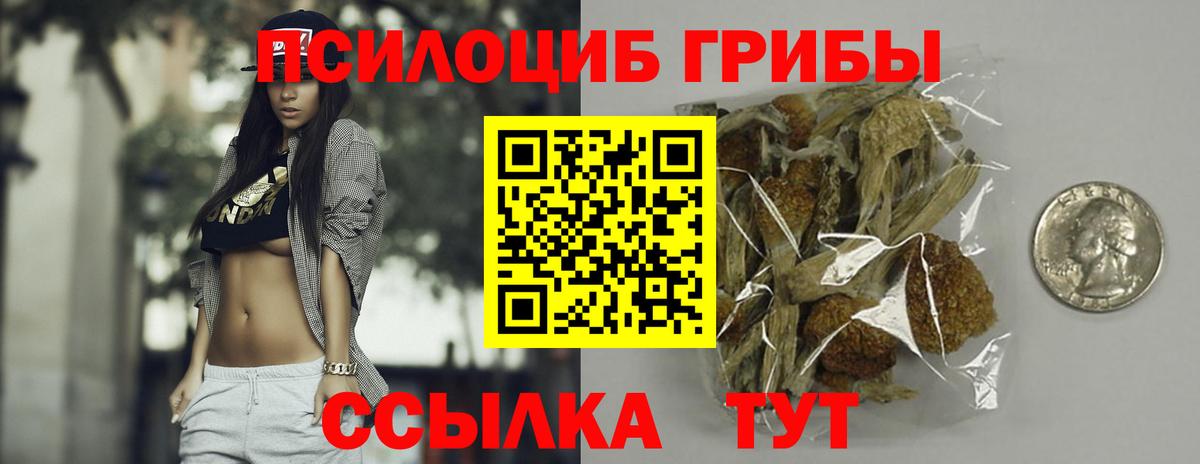 Псилоцибиновые грибы Cubensis  Вход с VPN  продажа наркотиков  Красногорск 